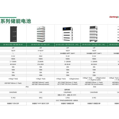 GF-HS-P-256-100-26K-S-01