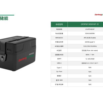GFSPS0130501KP 01