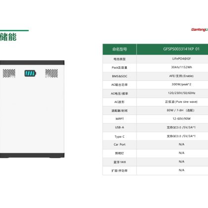GFSPS0033141KP 01
